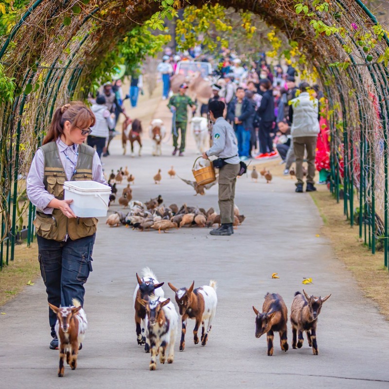 宜蘭萌寵農場風暴後的曙光!九九峰動物樂園「生命守護計畫」 專業醫療接手確保動物福祉 23 d82f4c73 8a7f 44f3 9caa e3e0265c7ddc 177097474461581156200256683