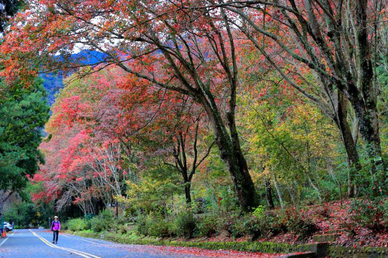 20260213194324 851c798e