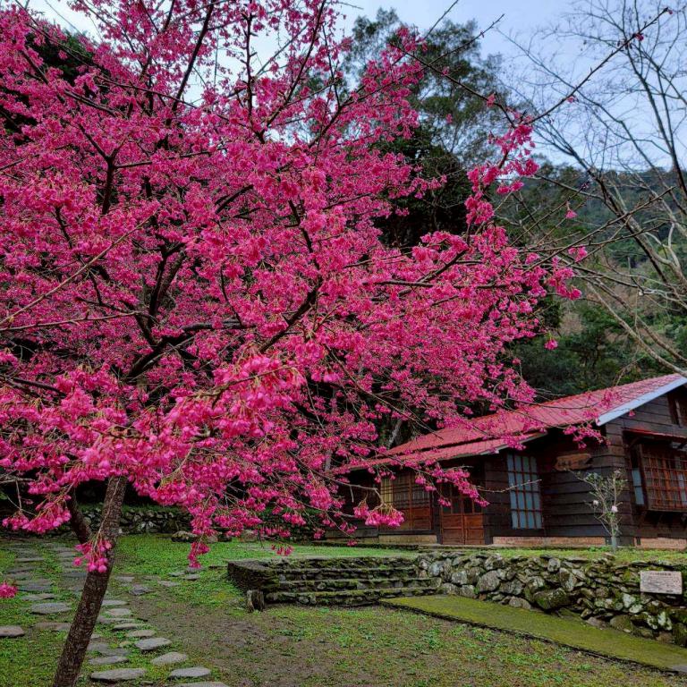 20260213194335 6db78182