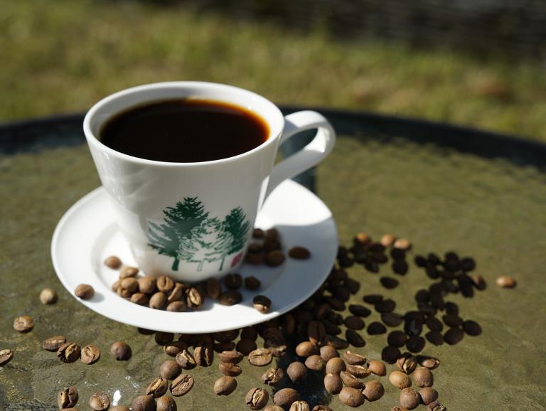 20260213194346 71c859a5