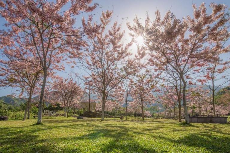 20260214174815 98a7715d