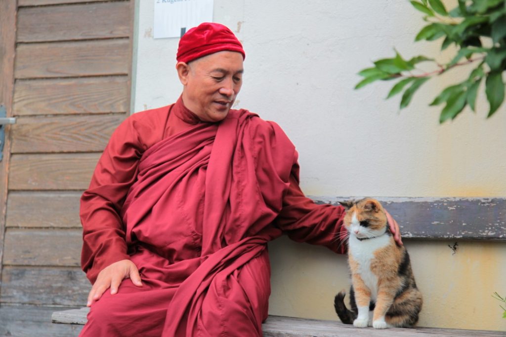 A copy 1404x936 1024x683 1