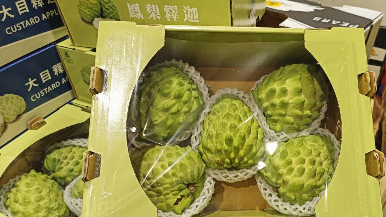 20260218112246 1ed03d31