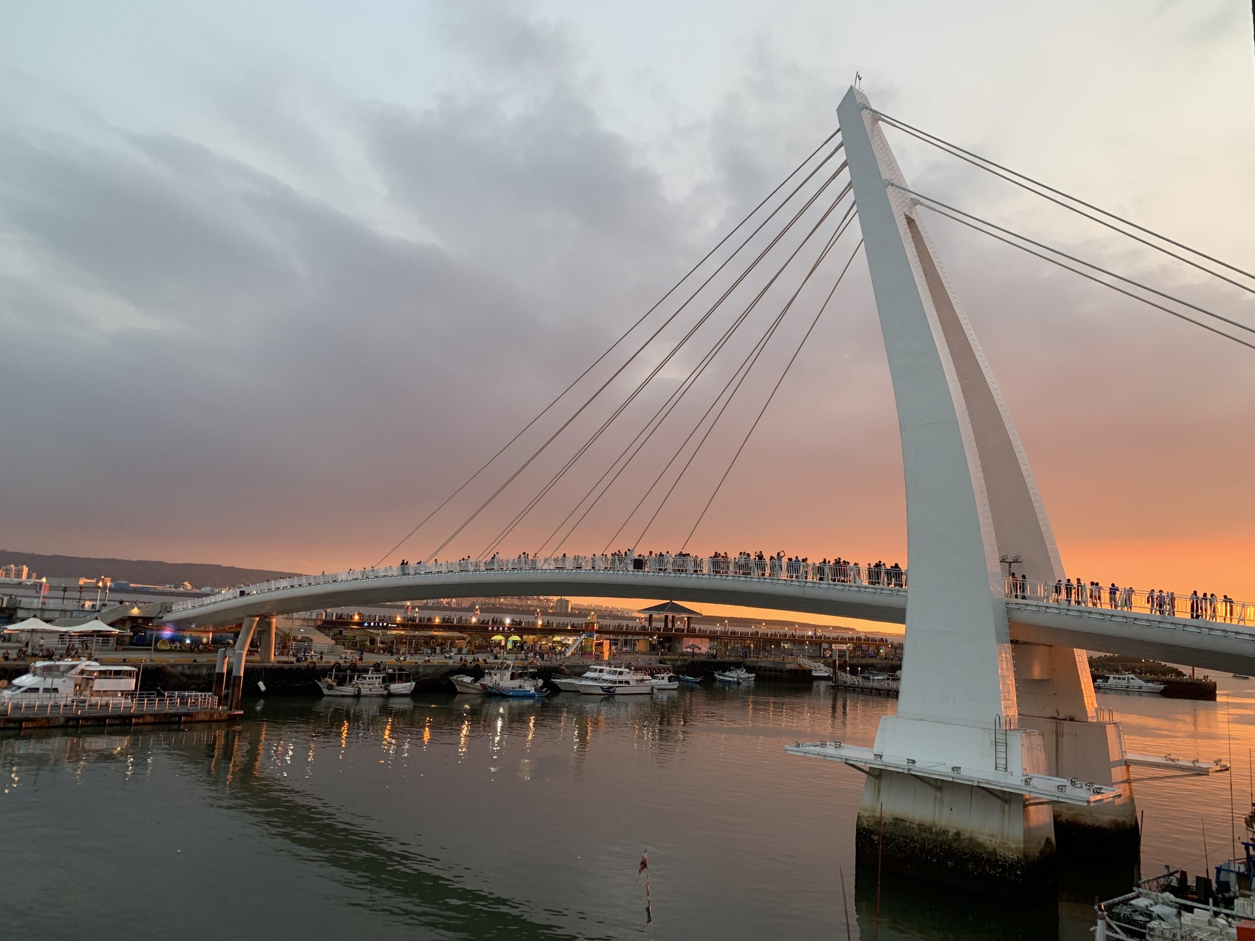 messageImage_1771418511886 - 報新聞 Mega News messageImage 1771418511886 scaled 1