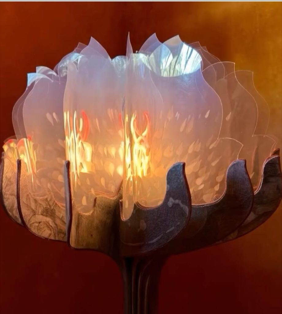 Screenshot - 報新聞 Mega News %E8%91%A3%E6%89%BF%E6%BF%82%E7%9A%84%E8%93%AE%E8%8A%B100001 920x1024 1