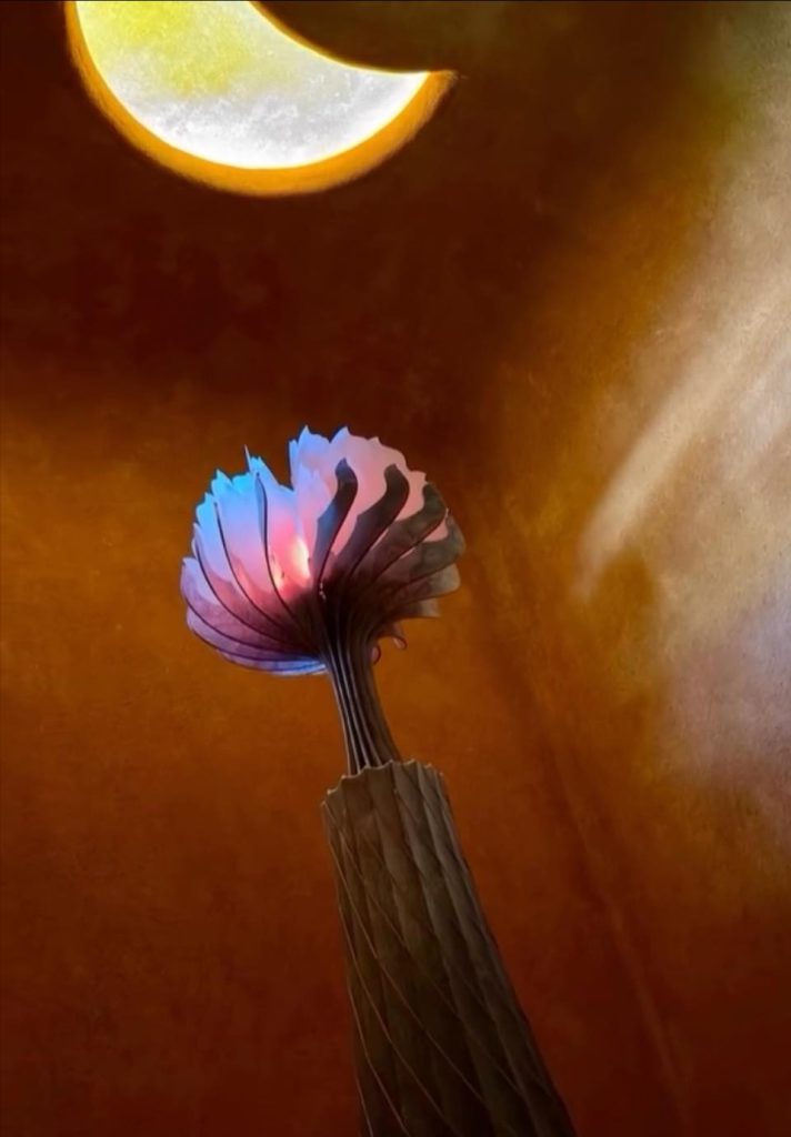 Screenshot - 報新聞 Mega News %E8%91%A3%E6%89%BF%E6%BF%82%E7%9A%84%E8%93%AE%E8%8A%B100004 712x1024 1