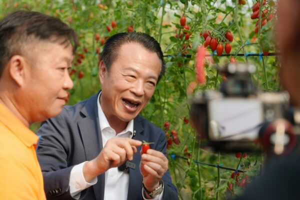 嘉義優鮮玉女番茄精品禮盒「喜番・大好き」全新改版甜蜜上市! 6 20260219091648 92 600x400 1