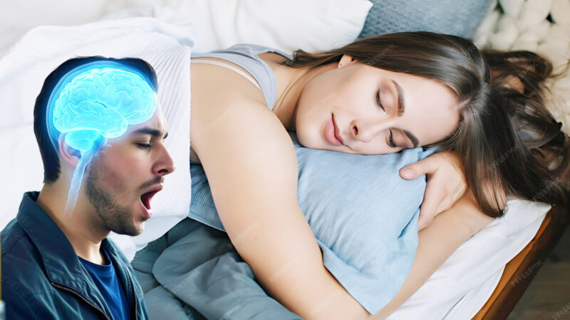 BB1rlSQo upscayl 5x upscayl lite 4x 800x450 1