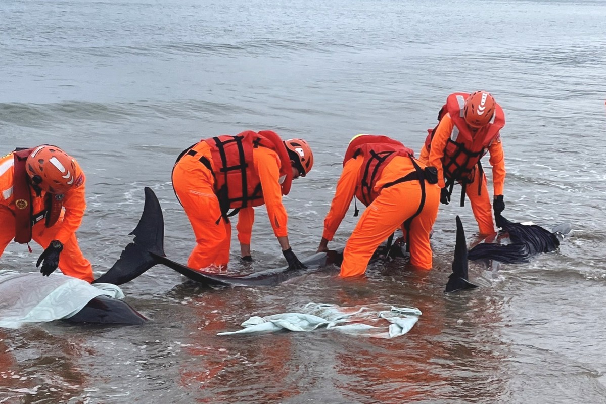 9572f149 4e20 403e b532 bd0bd21ba1d1