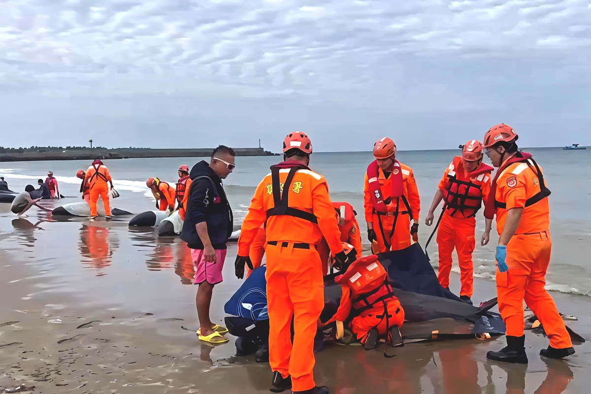 9572f149 4e20 403e b532 bd0bd21ba1d1 177193181260024936305783502