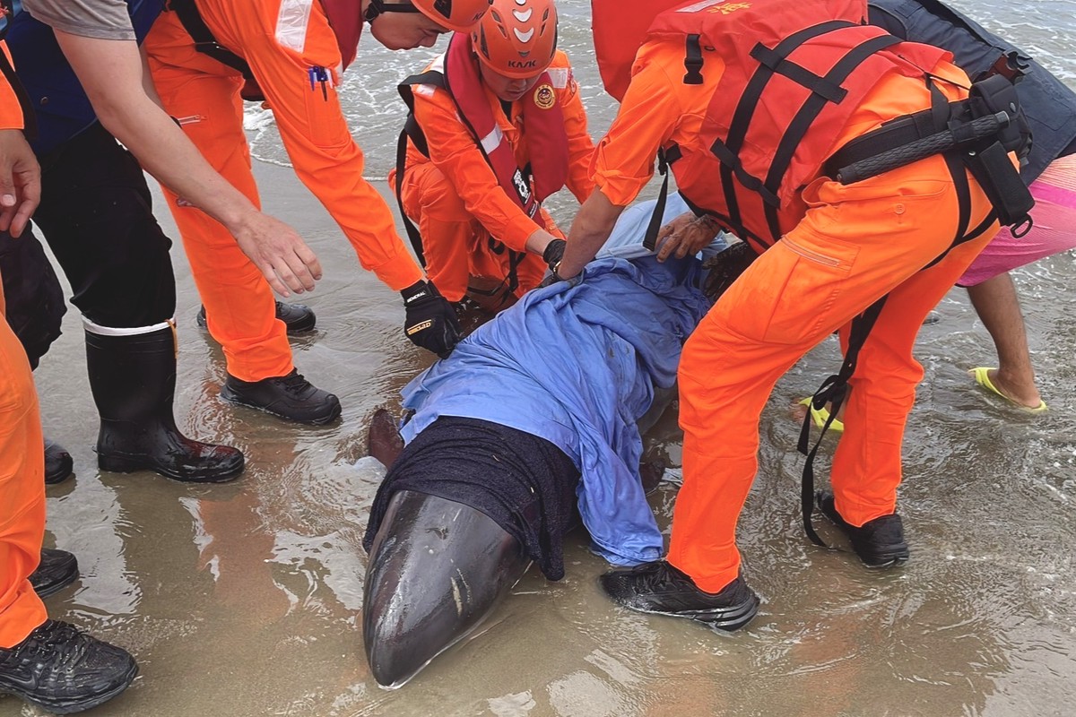 9572f149 4e20 403e b532 bd0bd21ba1d1 177193183734107281703887452