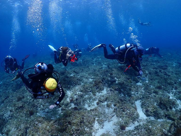 領運動幣潛水去 海委會加碼攜手友善潛店推動海洋永續 4 20260225001402 acd9821e