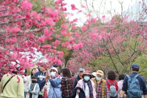 %E5%9C%96%E7%89%875 300x200 1 1