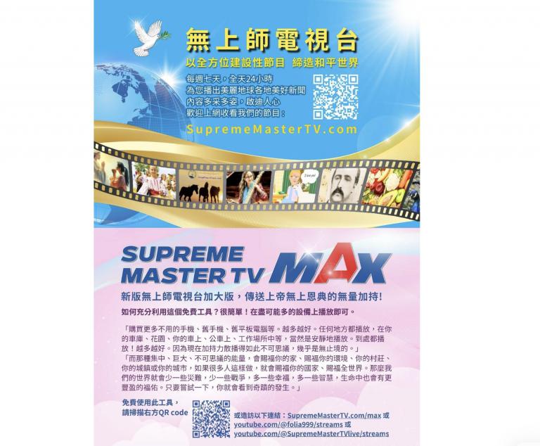 清海無上師世界會走入員山燈會 發放純素文宣倡議愛地球行動 12 20260228013510 e19bf561