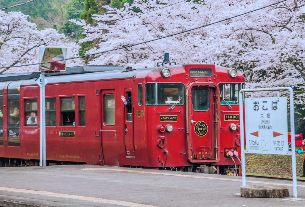 No 250035 7 %E8%82%A5%E8%96%A9%E7%B7%9A %E4%BE%86%E6%BA%90 Visit kyushu 1024x697 1