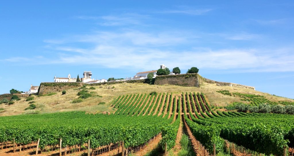 No 250036 7 Wineries in Alto Alentejoe %E4%BE%86%E6%BA%90 Discoveries Portgual 1024x546 1