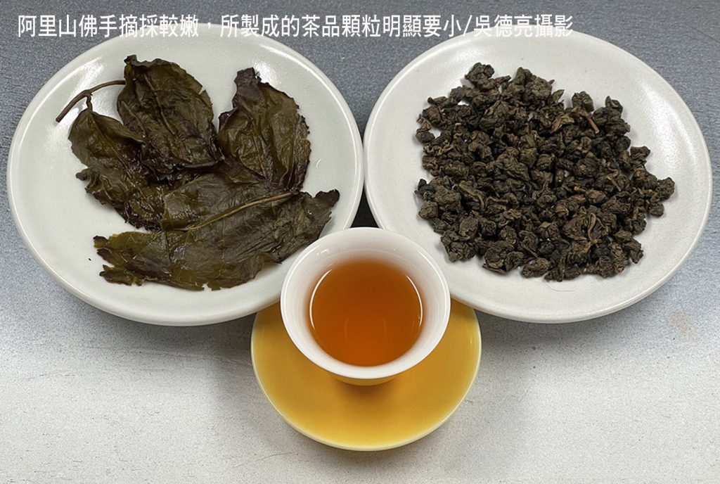 %E9%98%BF%E9%87%8C%E5%B1%B1%E4%BD%9B%E6%89%8B%E6%91%98%E6%8E%A1%E8%BC%83%E5%AB%A9%E6%89%80%E8%A3%BD%E6%88%90%E7%9A%84%E8%8C%B6%E5%93%81%E9%A1%86%E7%B2%92%E6%98%8E%E9%A1%AF%E8%A6%81%E5%B0%8F 1024x688 1