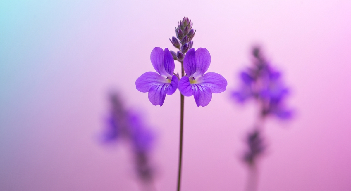 e1f526a4 b768 4fb2 ac2a 4491bb6e56d8