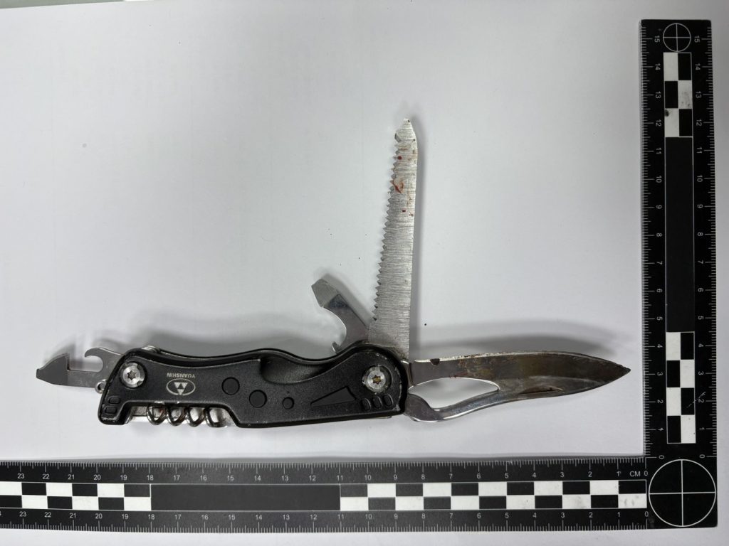 S 515637266 0 e1772450913291 1024x768 1