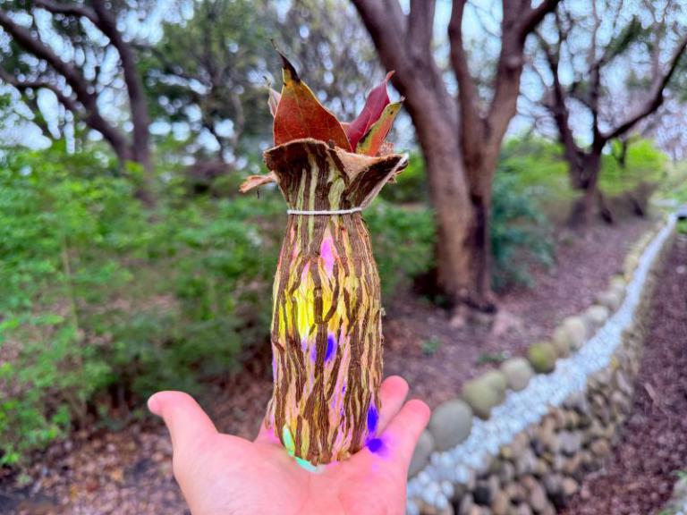 20260303113733 c326b881