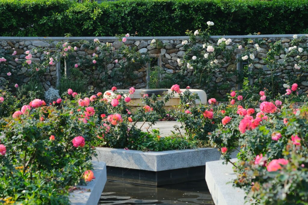 走進 臺北玫瑰園,感受「玫感藝象」的城市浪漫 10 3f826630 6e5e 47b5 aa4b f24639e9939e 1024x683 1