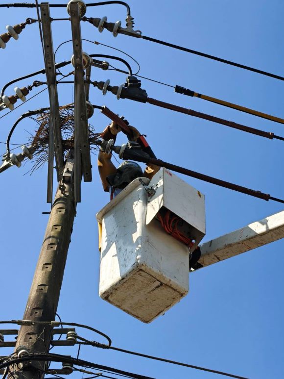 《圖說》北南區處同仁執行鳥巢摘除作業，為降低線路停電事故。〈台電北南區處提供〉