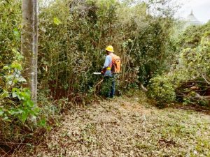 139090 Fotor 300x225 1