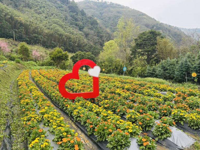 20260305215857 ea7c0430