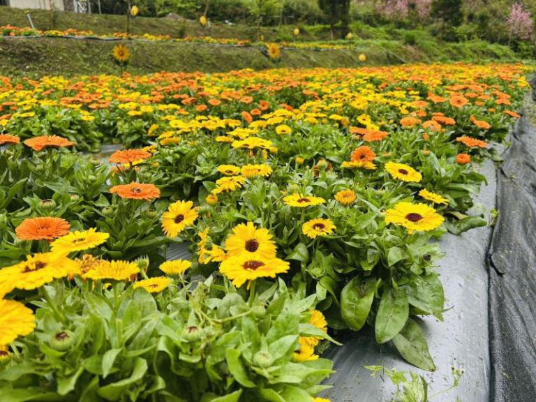 20260305215941 ab77c846