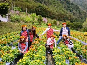 120220 0 Fotor 300x225 1