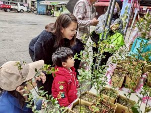 %E5%9C%96%E4%BA%8C%E6%9C%AC%E5%88%86%E7%BD%B2%E4%B8%89%E5%B3%BD%E5%B7%A5%E4%BD%9C%E7%AB%99%E8%88%89%E8%BE%A6%E8%B4%88%E8%8B%97%E6%B4%BB%E5%8B%95%E5%B0%8F%E6%9C%8B%E5%8F%8B%E9%9F%BF%E6%87%89%E6%A4%8D%E6%A8%B9%E7%AF%80%E6%B4%BB%E5%8B%95%E9%96%8B%E5%BF%83%E9%A0%98%E8%8B%97%E6%96%B0%E7%AB%B9%E5%88%86%E7%BD%B2%E6%8F%90%E4%BE%9B 300x225 1