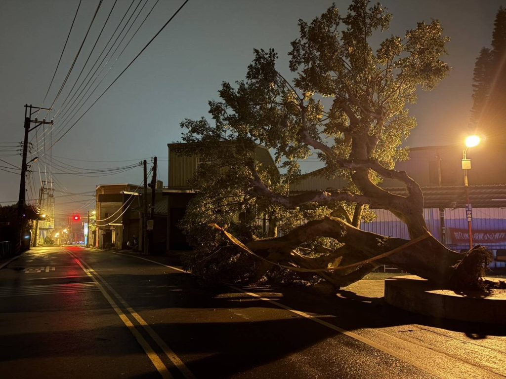 S 517128245 0 1024x768 1