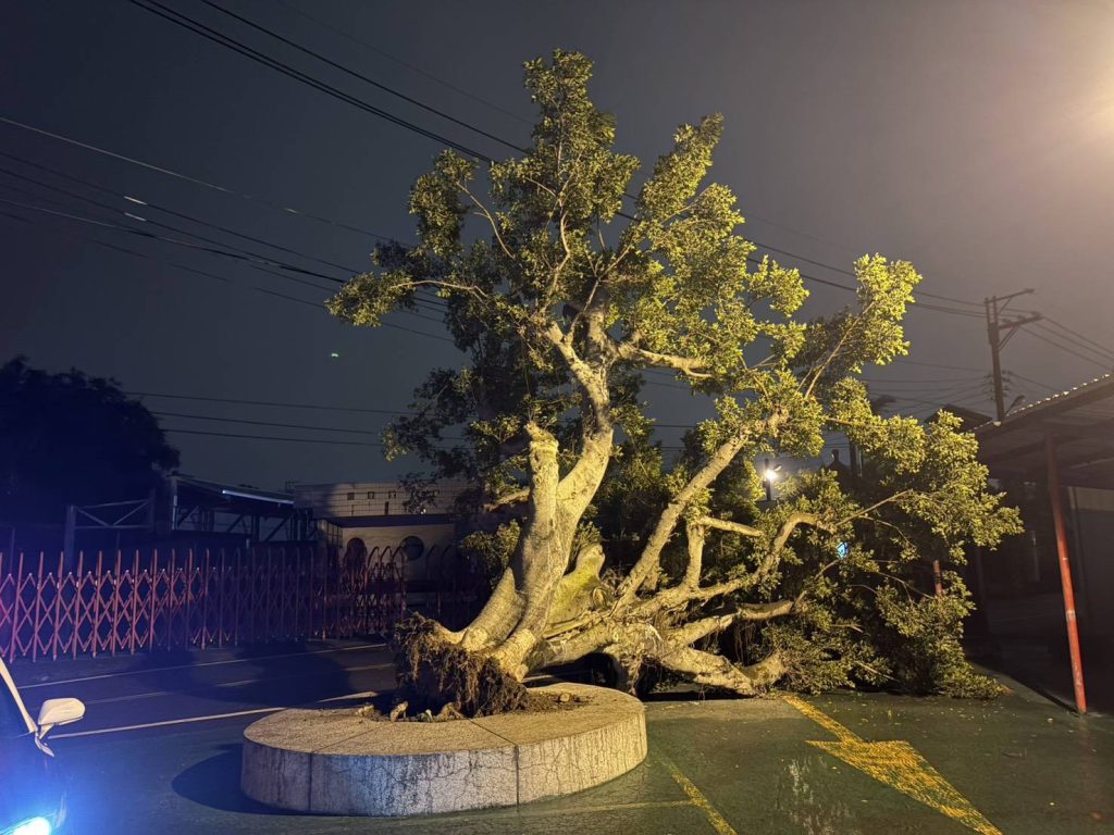 S 517128247 0 1024x768 1