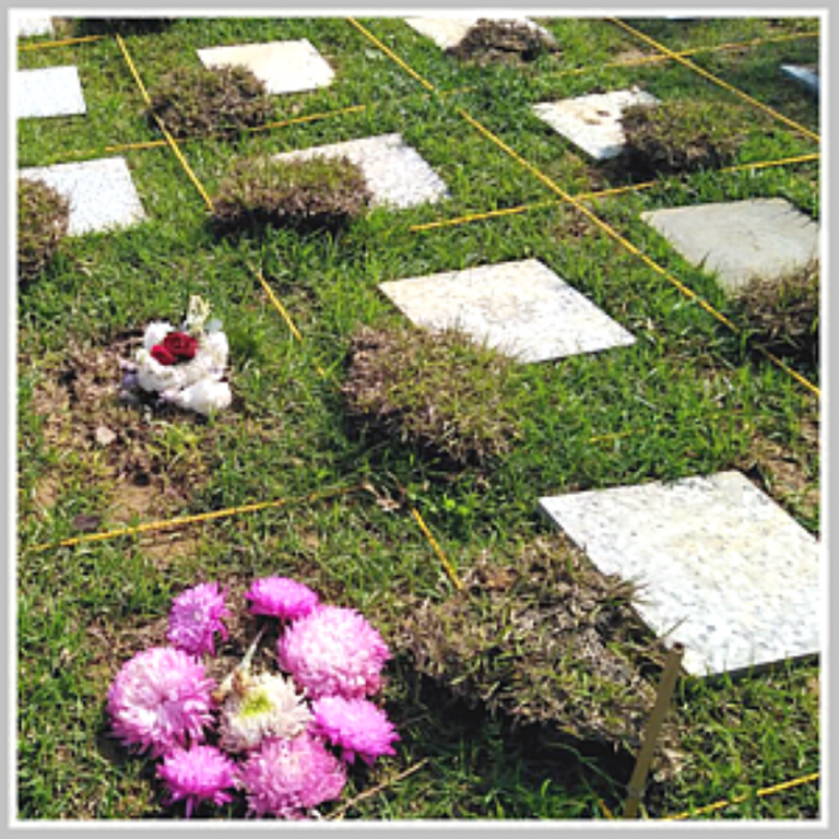 20260307202618 89b01305