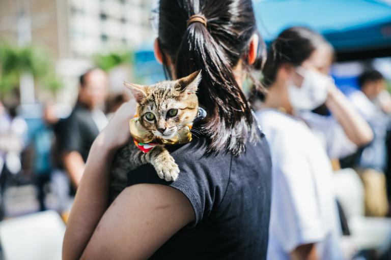 20260308005310 21a1790b