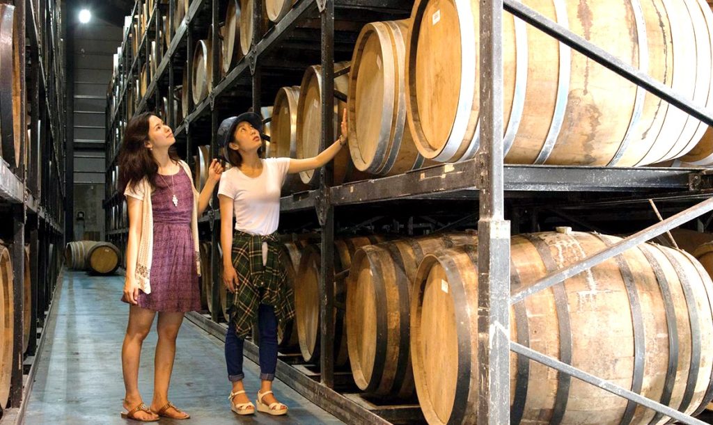 No 250037 %E6%B3%A1%E7%9B%9B%E9%85%92%E8%97%8F%E8%A6%8B%E5%AD%B8%E4%BE%86%E6%BA%90 %E5%90%8D%E8%AD%B7%E5%B8%82%E8%A6%B3%E5%85%89%E5%8D%94%E4%BC%9A 1024x611 1