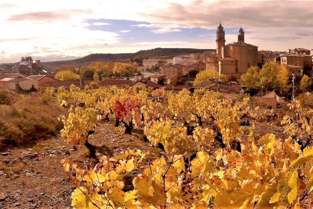 No 250038 3 Ribera del Duero%E7%94%A2%E5%8D%80 %E4%BE%86%E6%BA%90 Wine tour in spain 1024x683 1