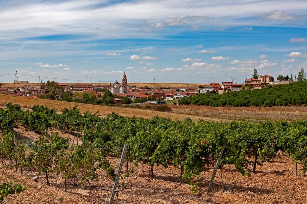 No 250038 5 Rueda Region %E4%BE%86%E6%BA%90 Turismo Castilla y Leon 1024x682 1