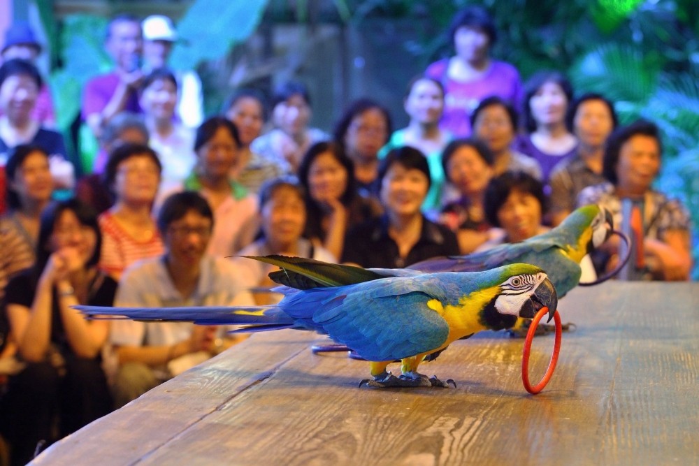 5c23b55f 09a9 4fba be9b 99a74c018daf 177320417379306228804155370