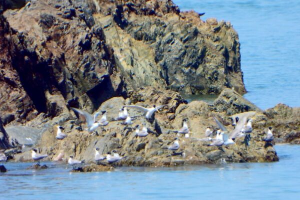 20260311215238 43 600x401 1