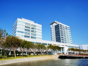 0000 Fotor Fotor 300x225 1