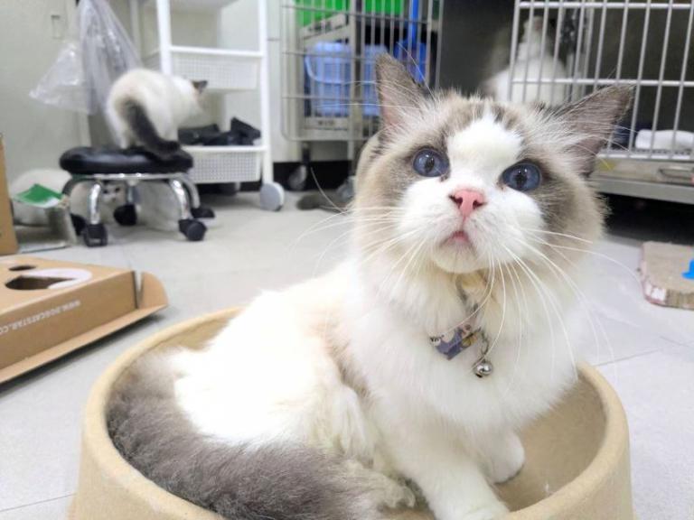 20260312125716 1ca0f1f4