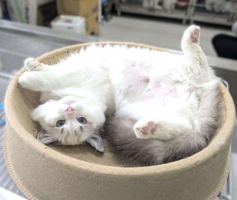 20260312125819 f4dde4ea