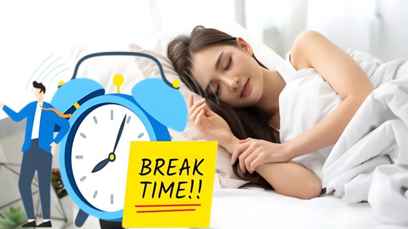 17732952 6 800x450 1