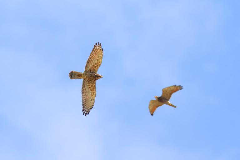 20260312180328 d534f25c