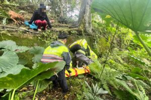 MEITU 20260313 170821341 1 300x200 1