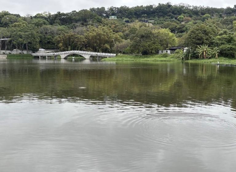 20260316121446 7a9fd128