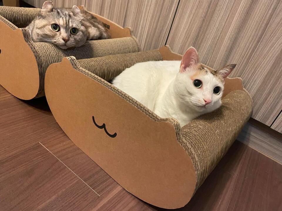 5e76869f 6567 403e 9088 5ea65ea9f1fa 177373370512376498801635131