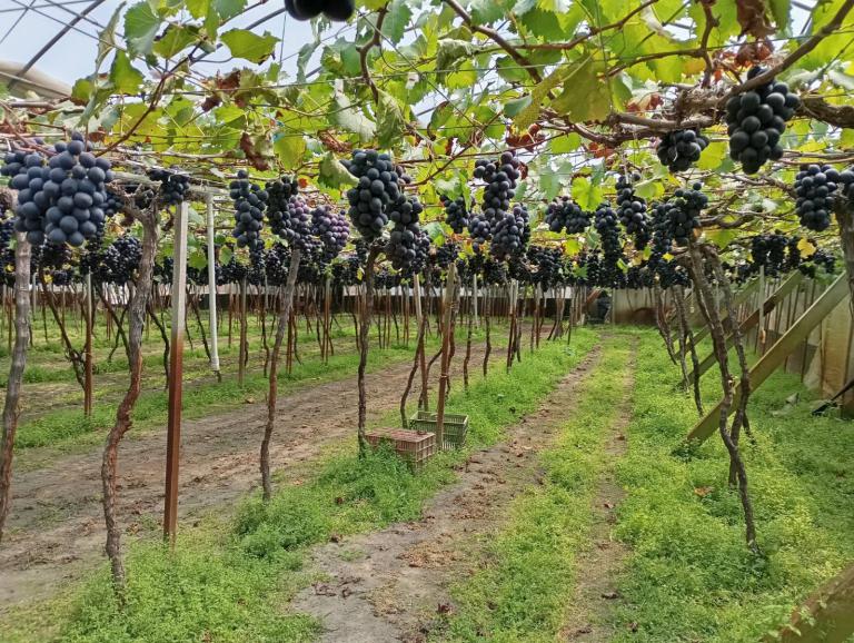 20260317190718 87bf4859