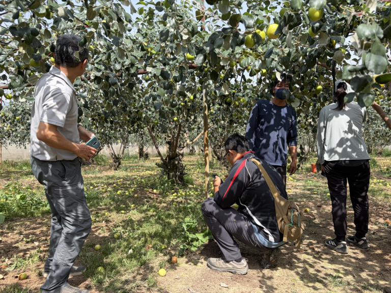 20260317213255 6daaac70